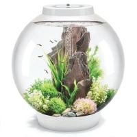 Biorb CLASSIC 60 литров, белый, LED Biorb CLASSIC 60 литров, белый, LED