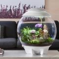Флорариумы BIORB AIR Флорариумы BIORB AIR