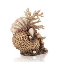 Коралловые ракушки (Coral-shells ornament neutral) Коралловые ракушки (Coral-shells ornament neutral)