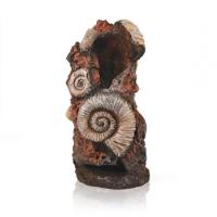 Древние раковины на пеньке (Ancient conch ornament) Древние раковины на пеньке (Ancient conch ornament)