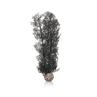 Черный морской веер средний (Sea fan medium black) Черный морской веер средний (Sea fan medium black)
