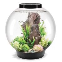Biorb CLASSIC 60 литров, черный, LED Biorb CLASSIC 60 литров, черный, LED