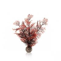 Малиновый морской веер малый (Sea fan small crimson) Малиновый морской веер малый (Sea fan small crimson)