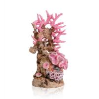 Риф розовый (Reef ornament pink) Риф розовый (Reef ornament pink)