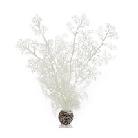 Белый морской веер средний (Sea fan medium white) Белый морской веер средний (Sea fan medium white)