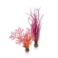Растения красные и розовые средние (Plant set medium red & pink)