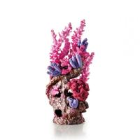 Риф малиновый (Reef ornament red) Риф малиновый (Reef ornament red)