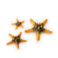 Желтые морские звезды 3 шт. (Starfish set 3 yellow) Желтые морские звезды 3 шт. (Starfish set 3 yellow)