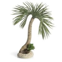 Большая пальма (Palm tree large) Большая пальма (Palm tree large)