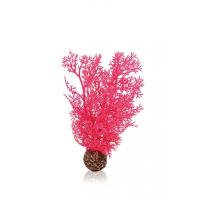Розовый морской веер малый (Sea fan small pink) Розовый морской веер малый (Sea fan small pink)