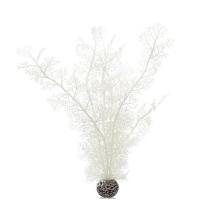 Белый морской веер высокий (Sea fan large white) Белый морской веер высокий (Sea fan large white)