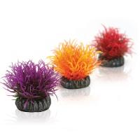 Шары цветные 3 шт. (Aquatic color ball set 3) Шары цветные 3 шт. (Aquatic color ball set 3)