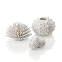 Набор морских ежей белый (Sea urchins set white) Набор морских ежей белый (Sea urchins set white)