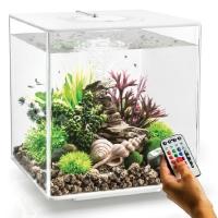 Biorb CUBE 60 литров, белый, MCR Biorb CUBE 60 литров, белый, MCR