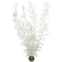 Белый морской веер очень высокий (Sea fan extra large white) Белый морской веер очень высокий (Sea fan extra large white)