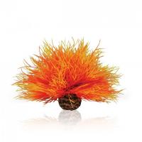 Огненная морская лилия Aquatic (Aquatic sea lily flame) Огненная морская лилия Aquatic (Aquatic sea lily flame)