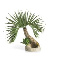 Коряги малые ( Amazonas root small) Коряги малые ( Amazonas root small)