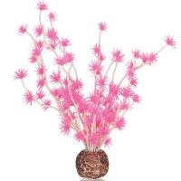 Бонсай розовый (Bonsai ball pink) Бонсай розовый (Bonsai ball pink)