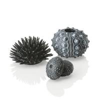 Набор морских ежей черный (Sea urchins set black) Набор морских ежей черный (Sea urchins set black)