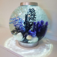 Коралл веер черный (Fan coral ornament black) Коралл веер черный (Fan coral ornament black)