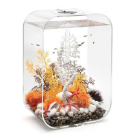 Коралл веер белый (Fan coral ornament white) Коралл веер белый (Fan coral ornament white)