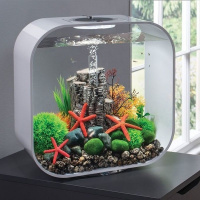 Морские звезды 3шт. красные (Starfish set 3 red) Морские звезды 3шт. красные (Starfish set 3 red)