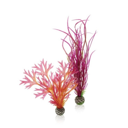 Растения красные и розовые средние (Plant set medium red & pink) Растения красные и розовые средние (Plant set medium red & pink)