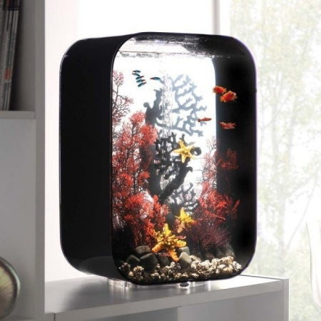 Коралл веер черный (Fan coral ornament black) Коралл веер черный (Fan coral ornament black)