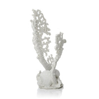 Коралл веер белый средний (Fan coral ornament medium white) Коралл веер белый средний (Fan coral ornament medium white)