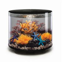 Застывшая лава с огненным кораллом (Lava rock with fire coral ornament) Застывшая лава с огненным кораллом (Lava rock with fire coral ornament)