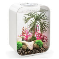 Набор пластиновых кораллов (Plate coral set) Набор пластиновых кораллов (Plate coral set)