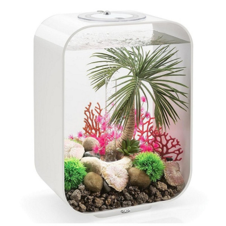 Набор пластиновых кораллов (Plate coral set)