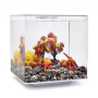 Комплект декора Autumn 15 (Decor Set 15L Autumn) Комплект декора Autumn 15 (Decor Set 15L Autumn)