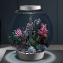 Набор из 3-х черных морских коньков (Seahorses 3-pack black) Набор из 3-х черных морских коньков (Seahorses 3-pack black)
