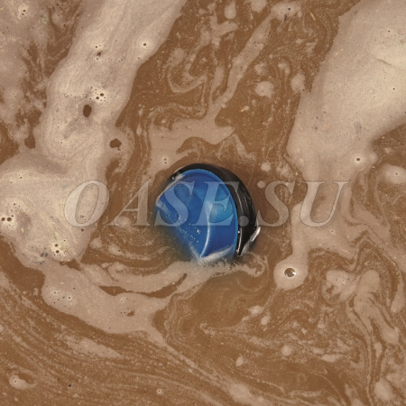 Насос для грязной воды ProMax MudDrain 11000