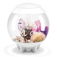 Морской желудь розовый маленький (Barnacle ornament small pink) Морской желудь розовый маленький (Barnacle ornament small pink)