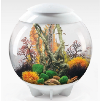 Коряга большая (Moorwood ornament large) Коряга большая (Moorwood ornament large)