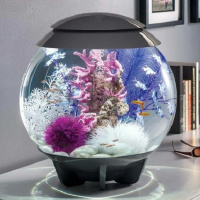 Риф розовый (Reef ornament pink) Риф розовый (Reef ornament pink)