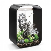 Набор морских ежей черный (Sea urchins set black) Набор морских ежей черный (Sea urchins set black)
