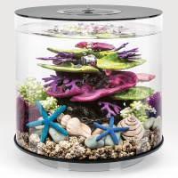 Коралловый гребень (Coral ridge ornament green-purple) Коралловый гребень (Coral ridge ornament green-purple)