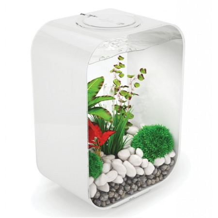 Biorb LIFE 15 литров, белый, LED