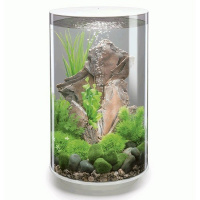 Сланец красный большой (Slate stack ornament large red) Сланец красный большой (Slate stack ornament large red)