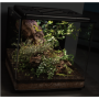 Террариум Biorb EARTH Black черный