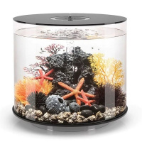 Черный минерал (Mineral stone ornament black) Черный минерал (Mineral stone ornament black)
