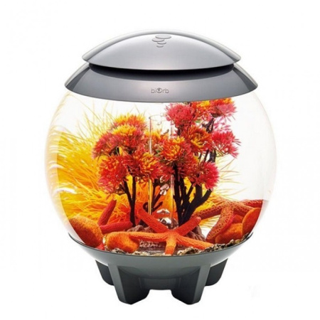 Комплект декора Autumn 15 (Decor Set 15L Autumn) Комплект декора Autumn 15 (Decor Set 15L Autumn)