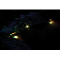 Pontec PondoStar LED RGB Set 3