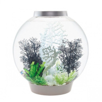 Коралл веер белый (Fan coral ornament white) Коралл веер белый (Fan coral ornament white)