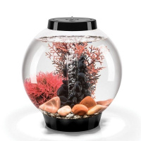 Малиновый морской веер средний (Sea fan medium crimson) Малиновый морской веер средний (Sea fan medium crimson)