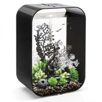 Коралл веер черный (Fan coral ornament black) Коралл веер черный (Fan coral ornament black)