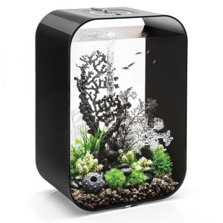 Коралл веер черный (Fan coral ornament black) Коралл веер черный (Fan coral ornament black)